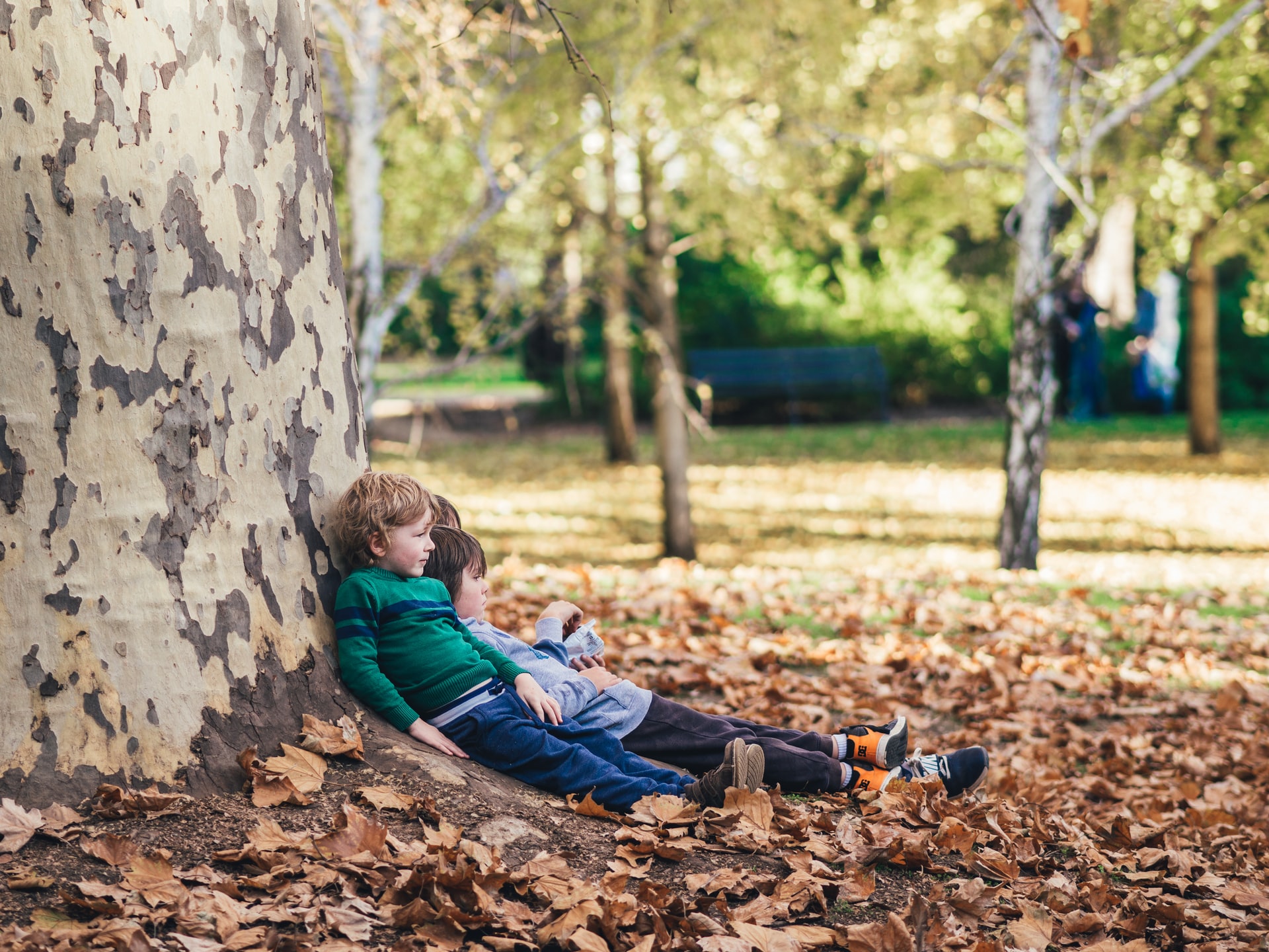 mindfulness activities for kids this fall